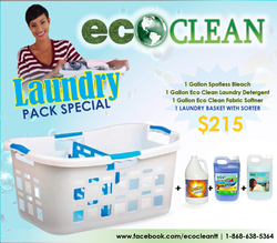 Picture of Laundry Pack Basket Special